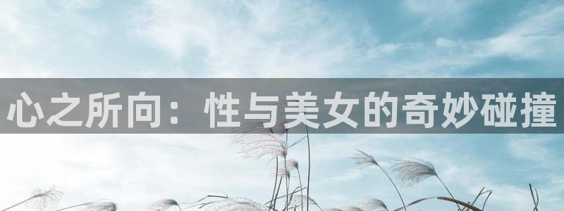 58动漫网站免费看：心之所向：性与美女的奇妙碰撞