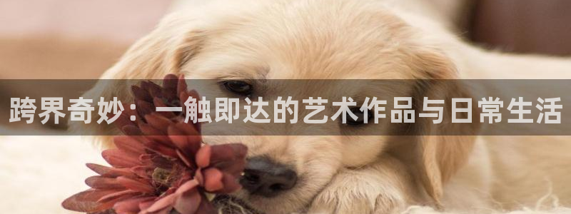 58动漫：跨界奇妙：一触即达的艺术作品与日常生活