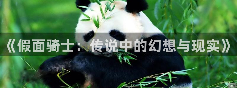 58动漫免费下载：《假面骑士：传说中的幻想与现实》