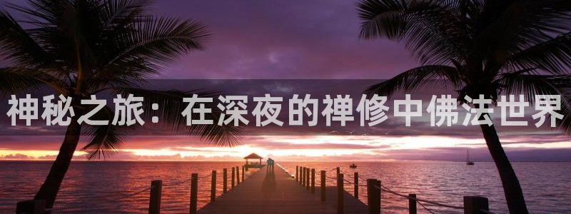 58动漫网.：神秘之旅：在深夜的禅修中佛法世界